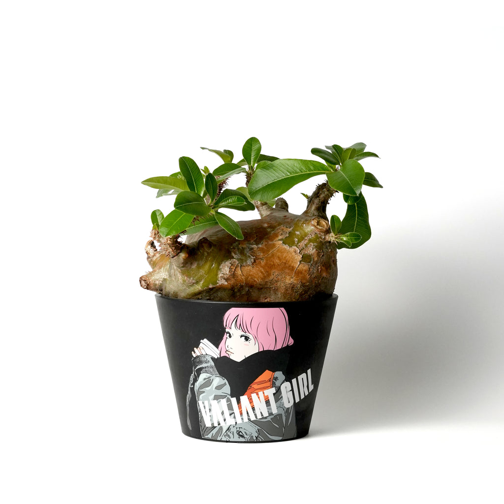 6_35c8276a-0cc1-4e14-b75c-