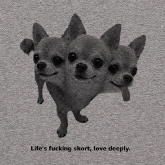 Love deeply Tシャツ ミックスグレー