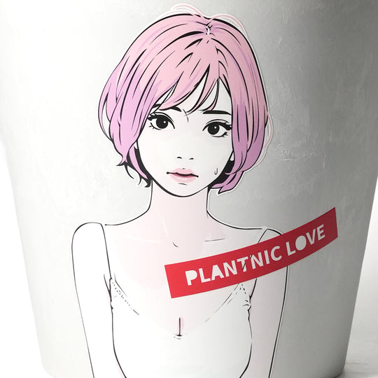 アガベ チタノタ オテロイ