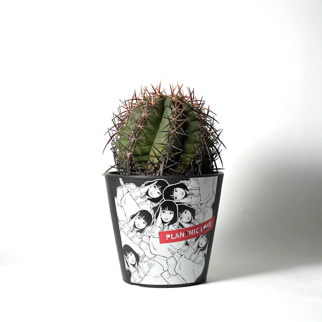 backsideworks SHIBUYA wt15 アート鉢　植木鉢 backsideworks SHIBUYA wt15 アート鉢 植木鉢 【公式通販】
