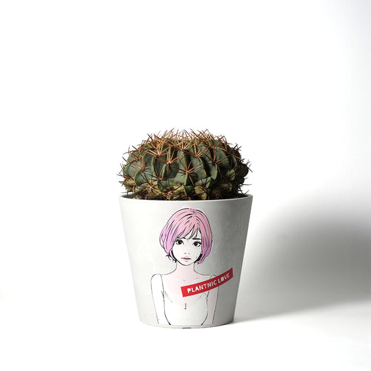 Ferocactus Amagi