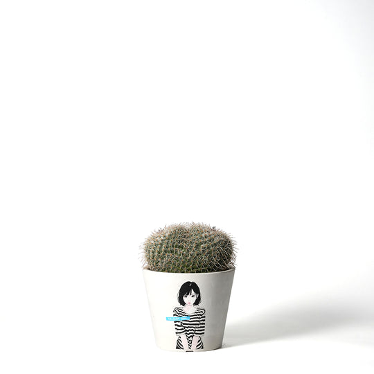 Mammillaria Seal