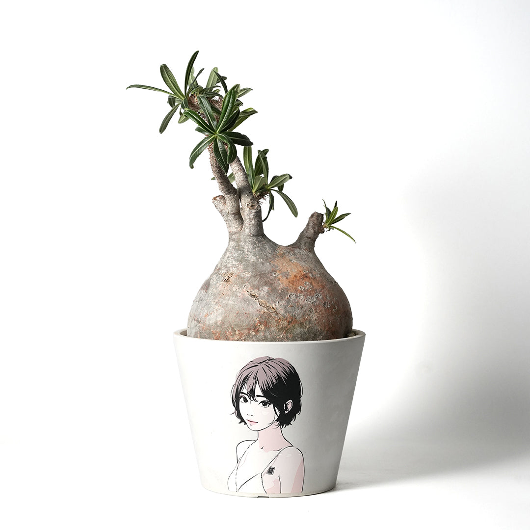 Backside works. – VALIANT GALLERY ONLINE